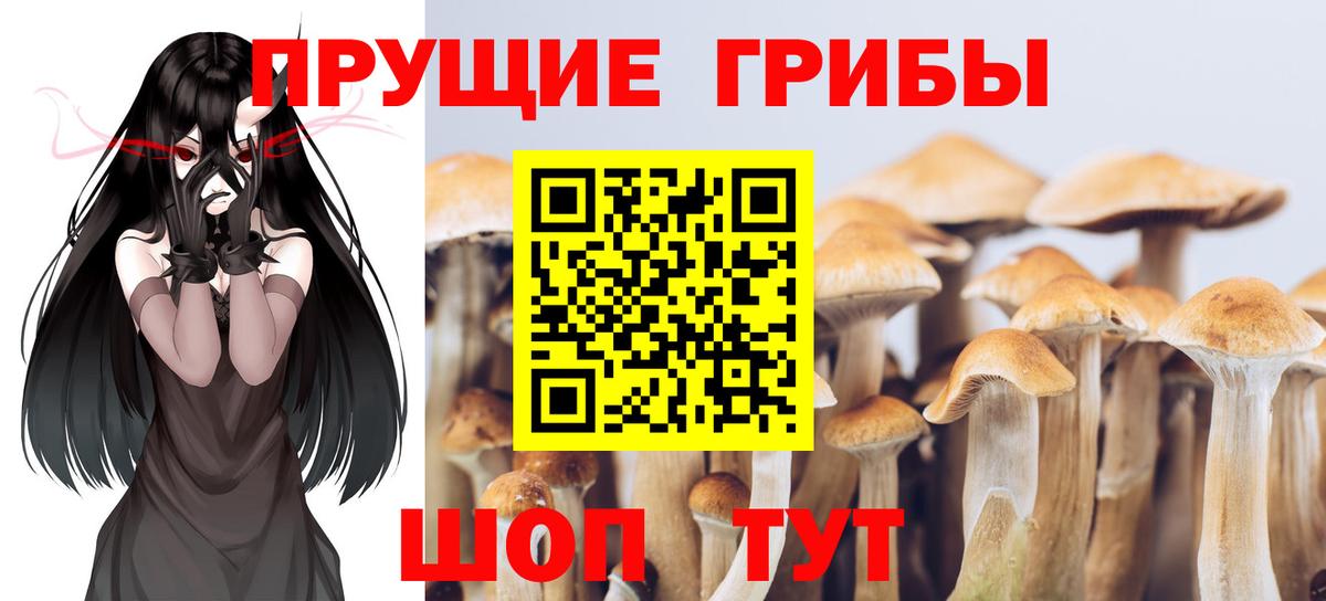 Псилоцибиновые грибы прущие грибы Миллерово